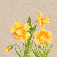 Șervețele 2-ply 33X33cm Daffodil, 25buc