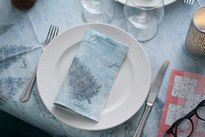 Șervețele 3-ply 33X33cm Blue winter, 50buc