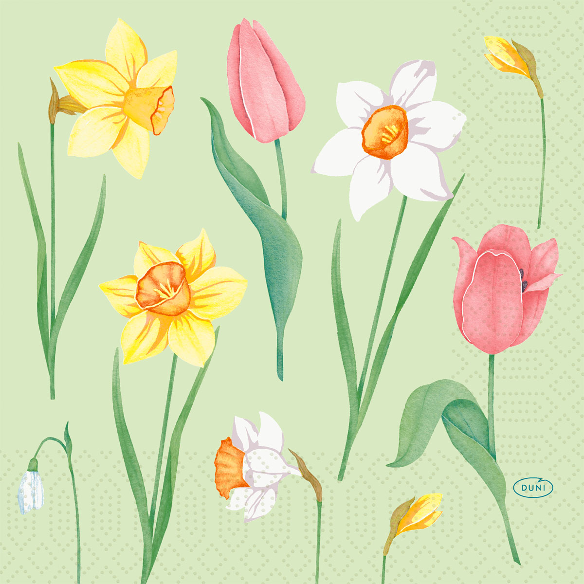 Șervețele 3-ply 33X33cm Spring melody, 50buc