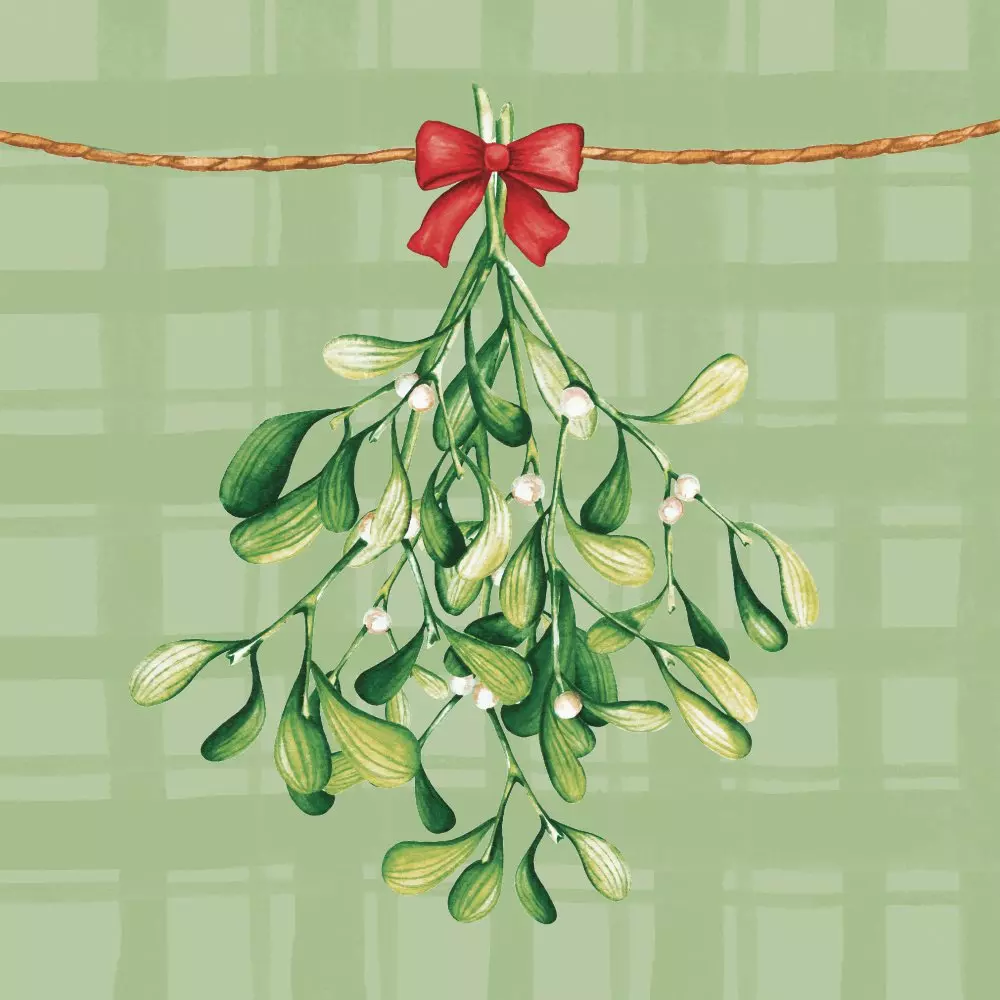Șervețele 3-ply 33X33cm Mistletoe moments, 20buc