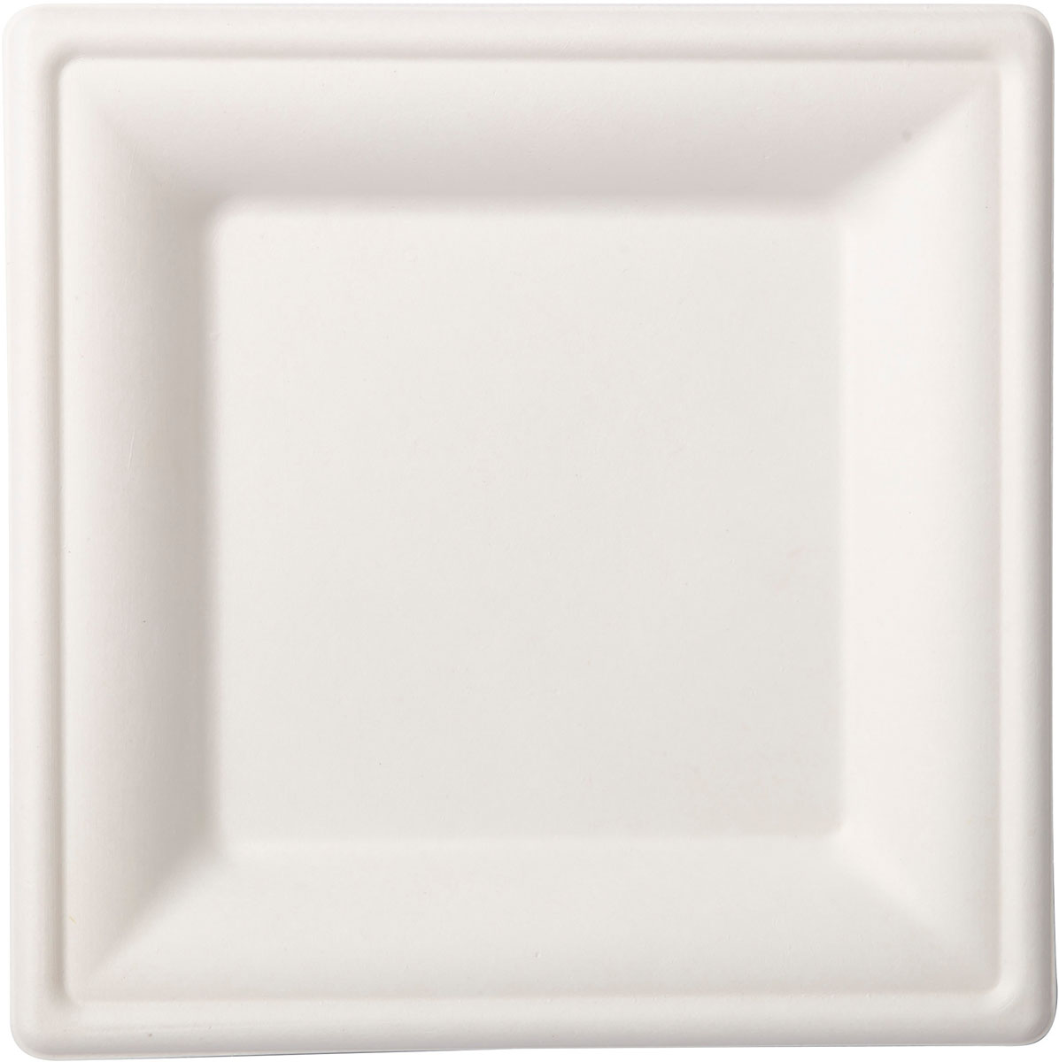 Farfurii din hartie pătrate 16X16CM Albe,10 buc