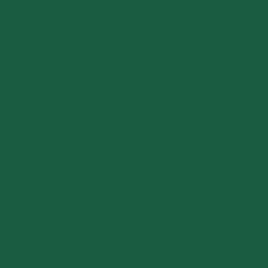 Șervețele 3-ply 40X40cm Verde inchis, 20buc