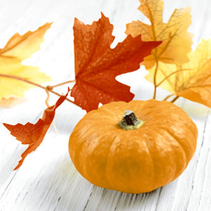 Șervețele 3-ply 33X33cm Pumpkin leaf, 20buc